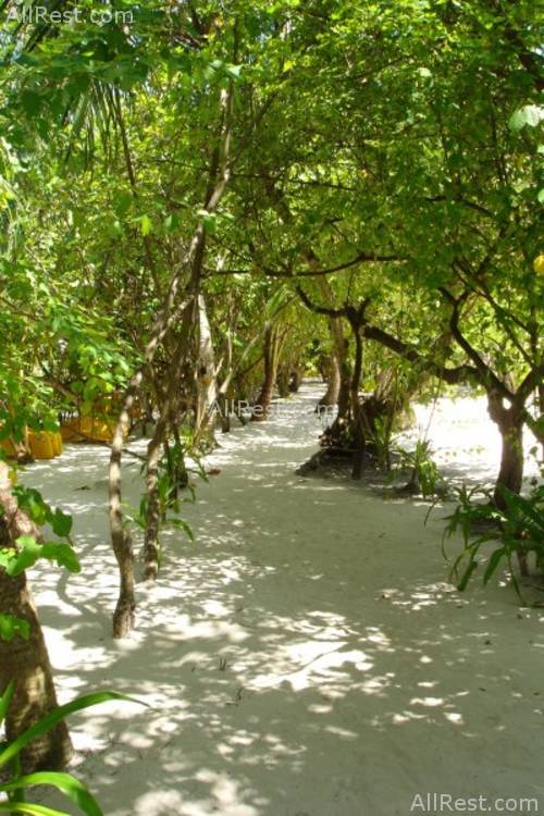 Embudu Village 16